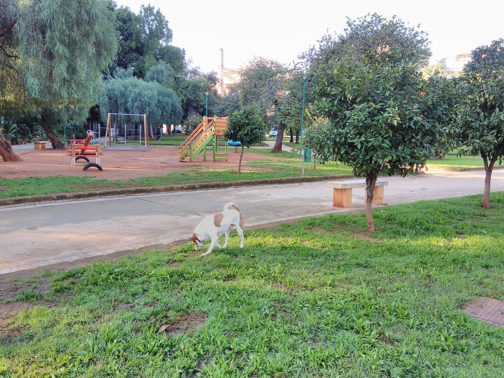 120 Rodionoff Downtown - Connection With Airport And Mondello Beach Palermo Ngoại thất bức ảnh